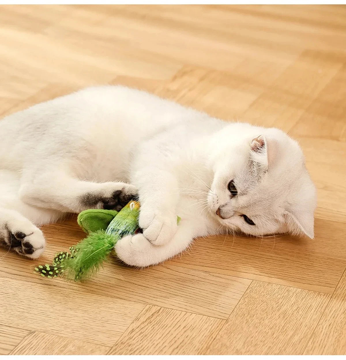 Interactive Bird Cat Toy with Realistic Chirps & Catnip